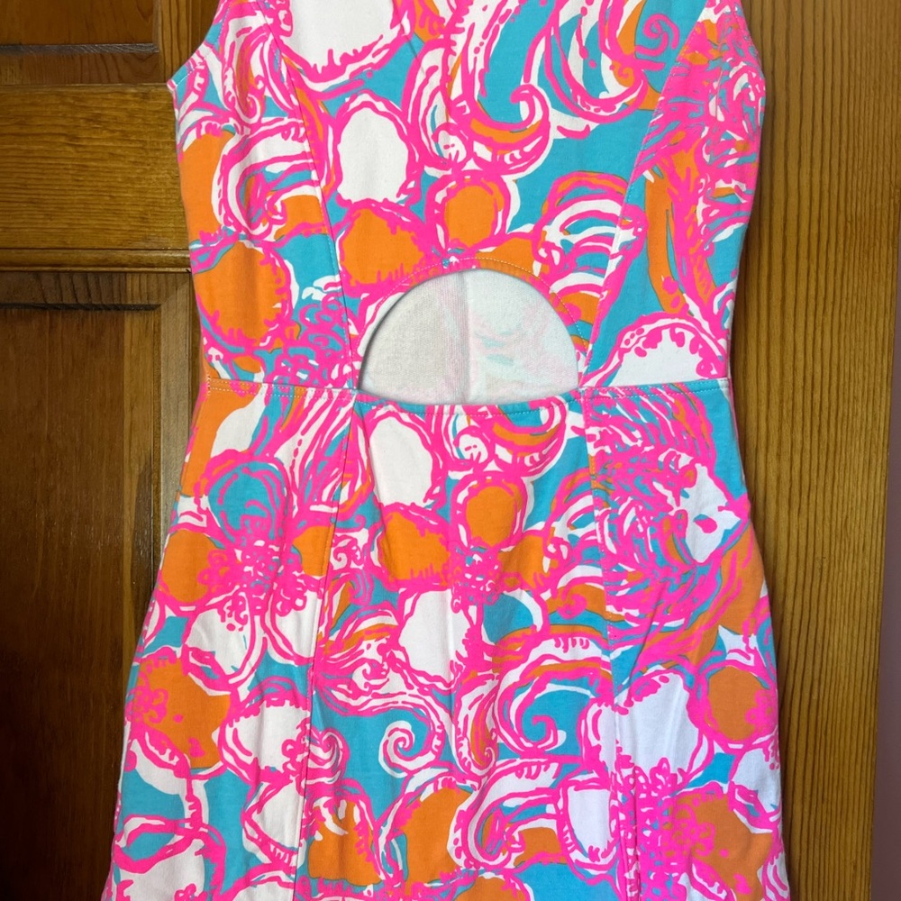 Lily Pulitzer Dress - Picture 7 of 9